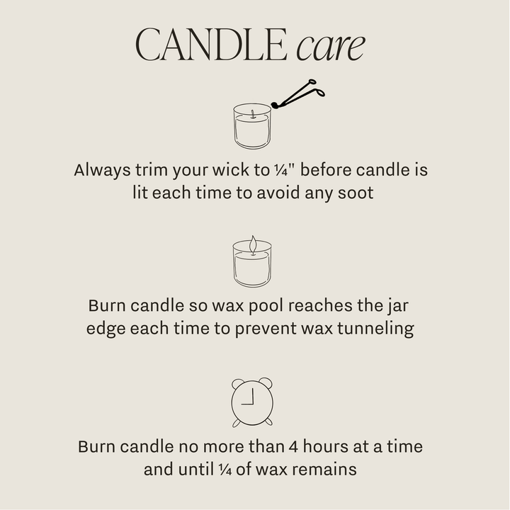 Cashmere and Vanilla Soy Candle - Cement Pumpkin Jar - 13.5 oz